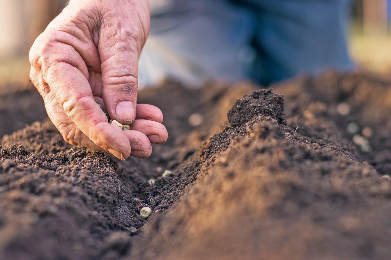 Pâques, un chemin de libération Messager de saint Antoine
