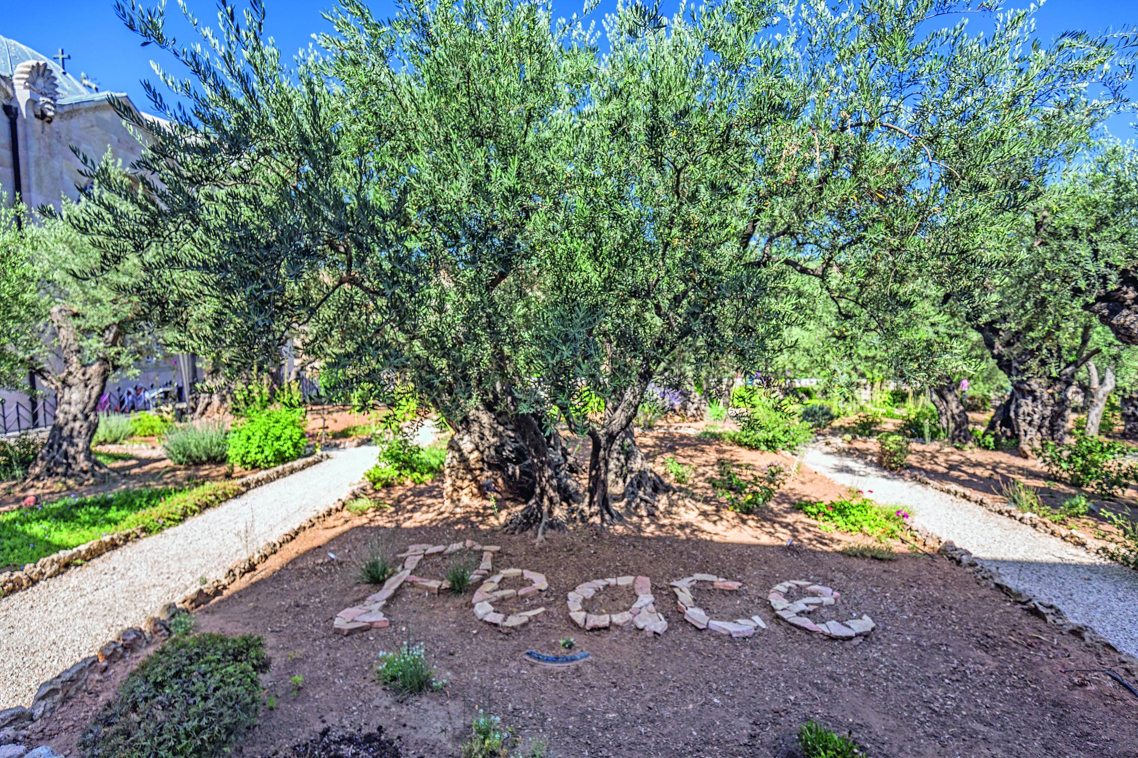 L’agonie des chrétiens de Terre sainte Messager de saint Antoine